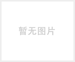 透明气球 LED发光波波球 手柄 电池盒4彩30灯发光波波球 工厂直销